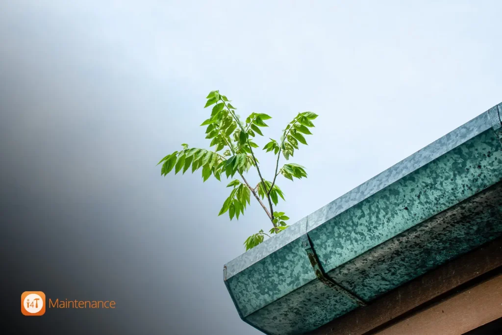 Tree through the roof."